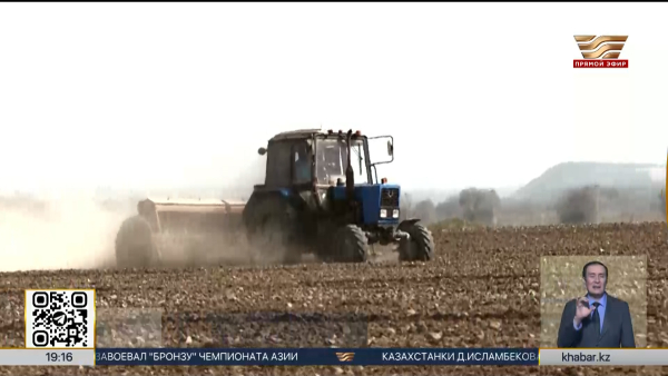 Свыше ₸3,5 млрд выделили крестьянским хозяйствам в Алматинской области