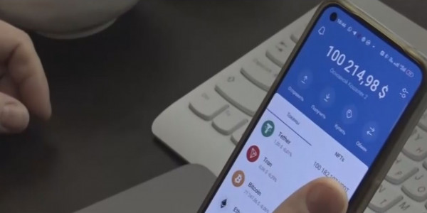 Қостанай облысында крипто қылмыс жасаған РФ азаматы ұсталды