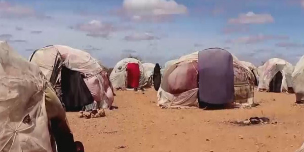 БҰҰ: 2 миллиардтан аса адам су тапшылығының зардабын тартып отыр