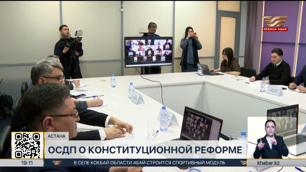 Проект новой Конституции поддержали депутаты ОСДП