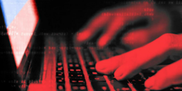 Ғаламтор алаяқтары арылар емес