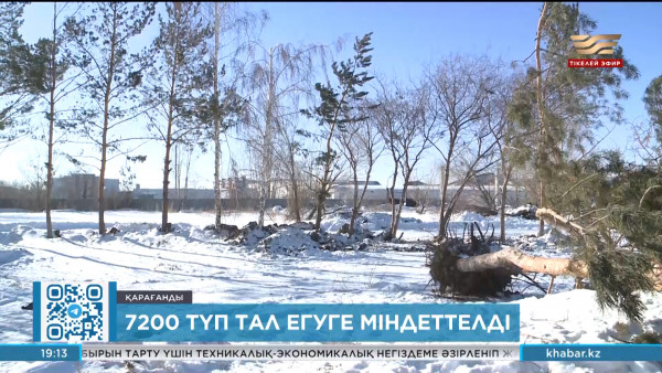 Қарағандыда құрылыс компаниясы 7 мыңнан астам ағаш егуге міндеттелді
