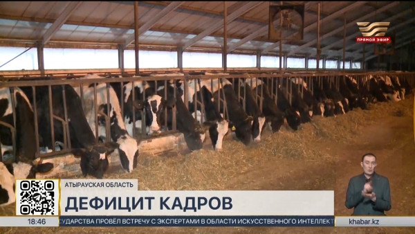 Специалистов аграрной сферы не хватает в Атырауской области