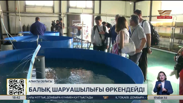 Алматы облысында балық етін өндіру көлемі артпақ