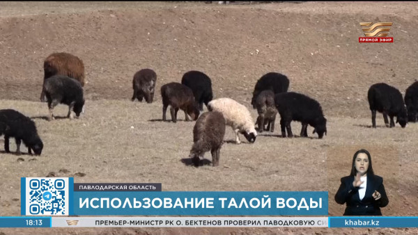 Участки лиманного орошения восстанавливают в Павлодарской области