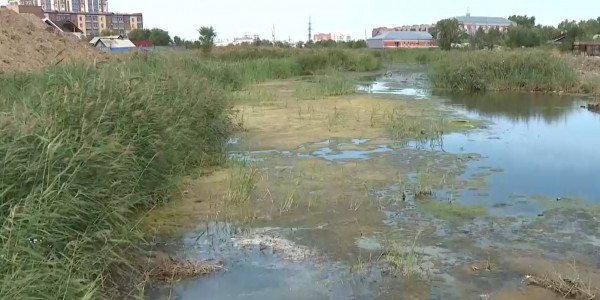 В Кокшетау приступили к очистке реки Кылшакты