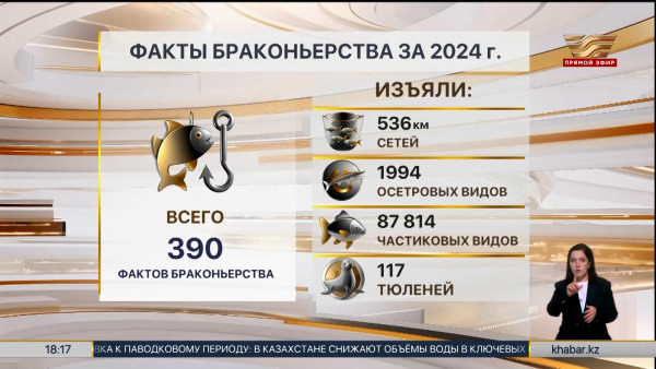 Более 100 тюленей спасли от браконьеров на Каспии за 2024 год
