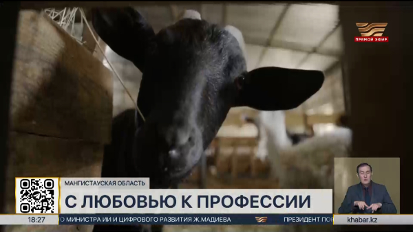 Семья из Мангистау стала первым представителем ЦА в гильдии сыроделов