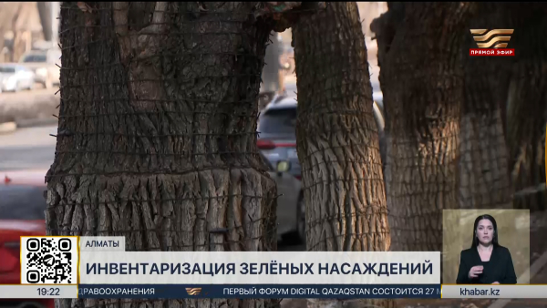 Дроны и спутники используют для инвентаризации зелёного фонда Алматы