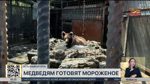 Житель Алматы собрал в горах 26 тонн мусора за 4 года