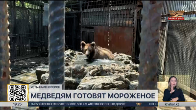 Житель Алматы собрал в горах 26 тонн мусора за 4 года