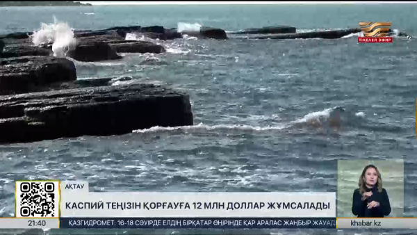 Каспий теңізін қорғауға 12 млн доллар жұмсалады