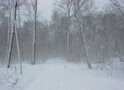 Прогноз погоды на 21 января