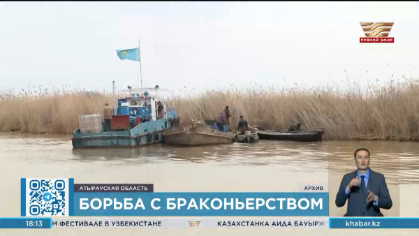64 уголовных дела заведено против браконьеров в ходе акции &laquo;Бекіре-2024&raquo;