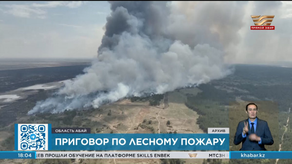 Лесной пожар в области Абай: виновным вынесли приговор