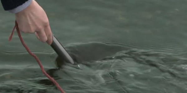 Высокий уровень загрязнения рек зафиксировал &laquo;Казгидромет&raquo; в ВКО