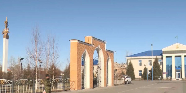 Министр труда прокомментировала гибель 4 детей в области Абай