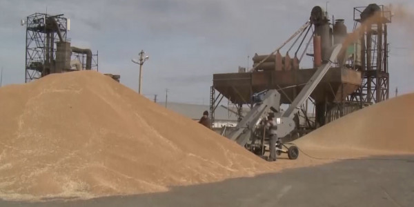 Қамбасы толы Қазақстан: Президент науқанды табысты аяқтаған ауыл еңбеккерлерін құттықтады