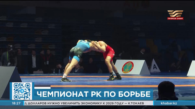 В Астане завершился чемпионат Казахстана по видам борьбы