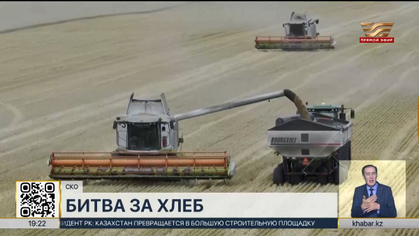 В Казахстане намолочено более 7,5 млн тонн зерна