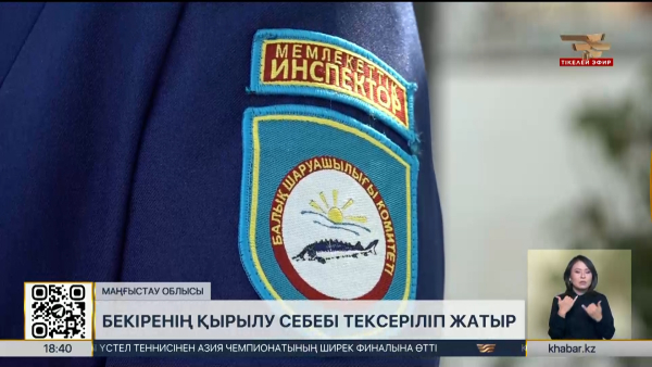 Маңғыстау облысында бекіренің қырылу себебі тексеріліп жатыр