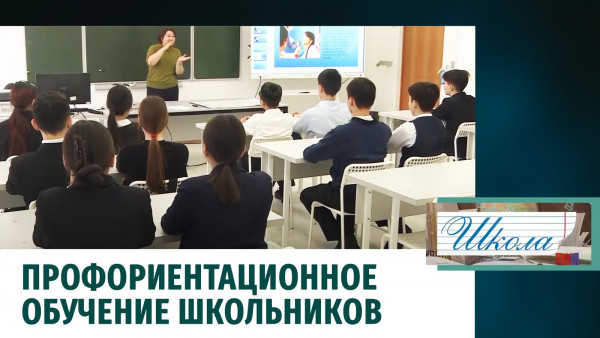Профориентационное обучение школьников. &laquo;Школа&raquo;