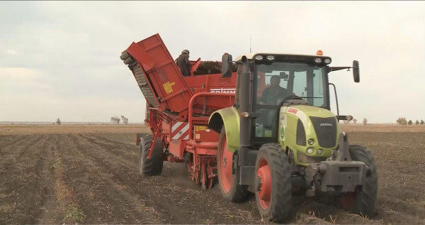 Үкімет отырысы: азық-түлік пен құрылыс материалдары бағасының өсуі