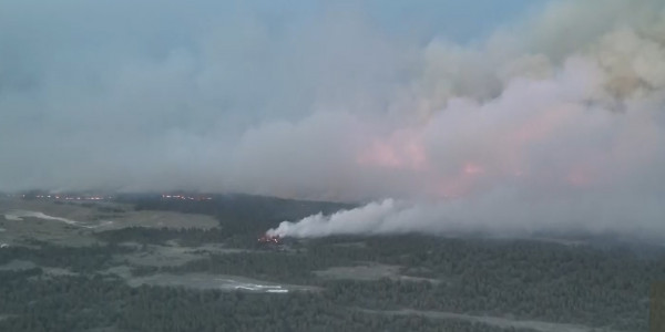 В Правительстве рассмотрели вопрос ликвидации лесного пожара в области Абай