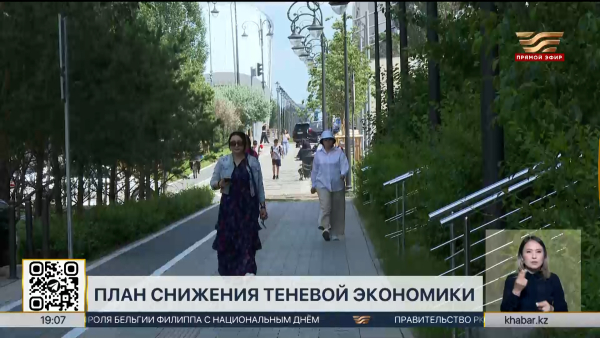 План снижения теневой экономики утвердили в Казахстане