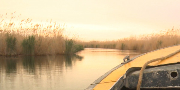 Временный запрет на ловлю рыбы введен на акватории Малого Аральского моря