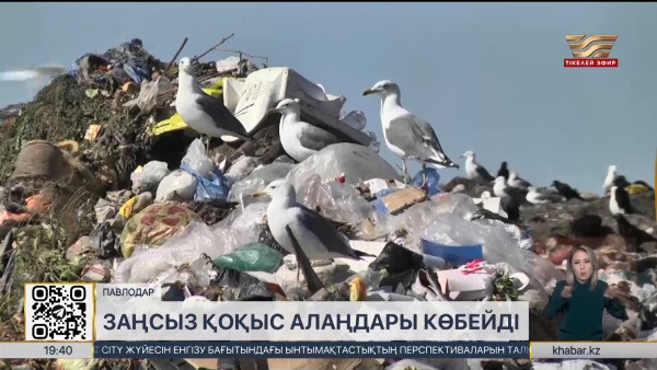 Павлодар облысында апатты қоқыс алаңдары көбейді