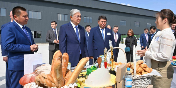 Президент Павлодар облысы кәсіпорындарының өнімдерімен танысты