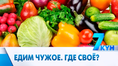 Казахстан остаётся без своих овощей: кто виноват?