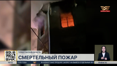 Пожар в Туркестанской области: создана правительственная комиссия