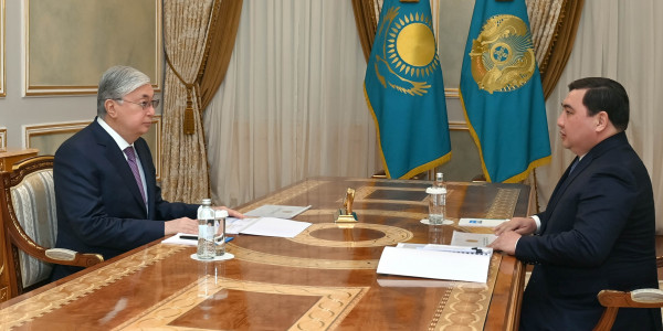 Президент принял председателя Агентства по делам государственной службы Дархана Жазыкбаева