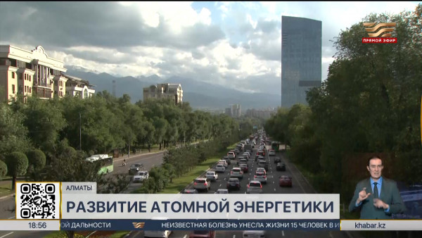 Строительство АЭС позволит диверсифицировать энергетику Казахстана