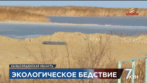 Малый Арал находится под угрозой исчезновения