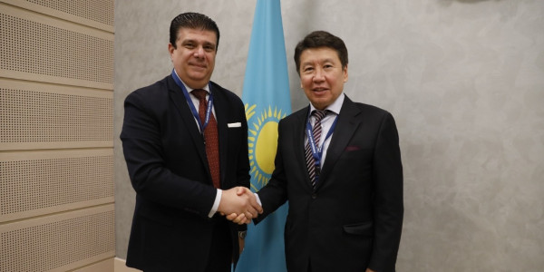 Ерлан Бекхожин встретился с делегацией из Египта