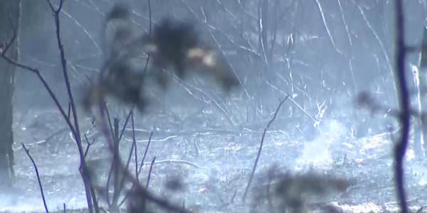 В Аманкарагае ситуация стабилизировалась &ndash; МЧС