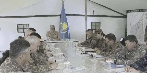 Тоқаев орман өртінің өршуіне себеп болған негізгі қателіктерді атады