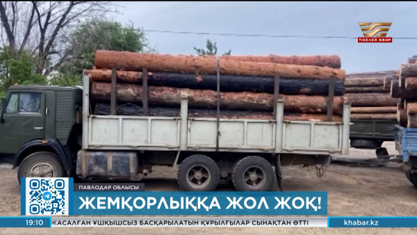 Экология вице-министрлерінің бірі жемқорлық дерегі бойынша ұсталды