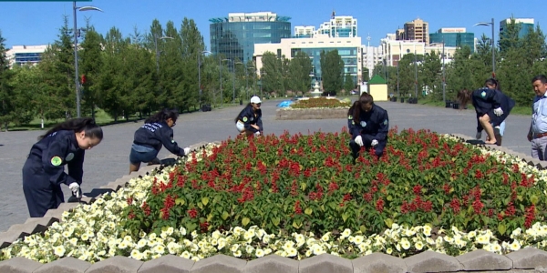 Елімізде студент жастардың көбі жазғы демалысында табыс табады