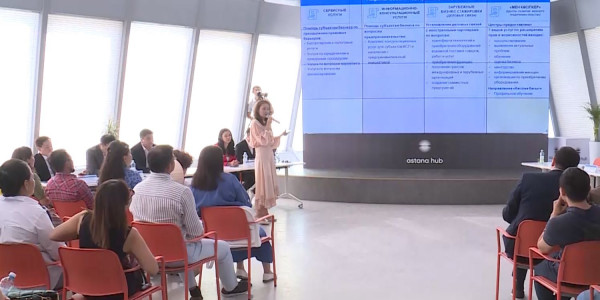 9 тыс. грантов на развитие бизнес идей выделят в Казахстане