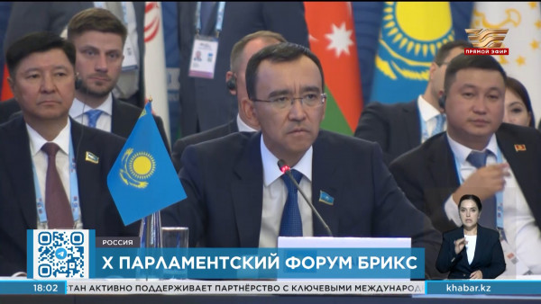 Маулен Ашимбаев принял участие в работе Х Парламентского форума БРИКС