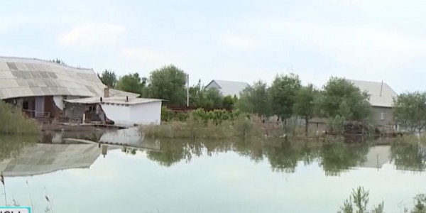 Түркістан облысындағы су астында қалған үйлер қалпына келтіріледі