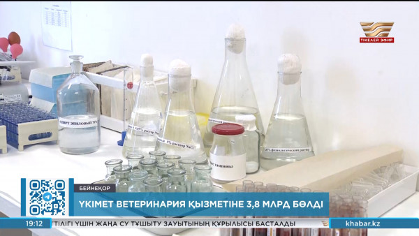 Үкімет ветеринария қызметіне ₸3,8 млрд бөлді