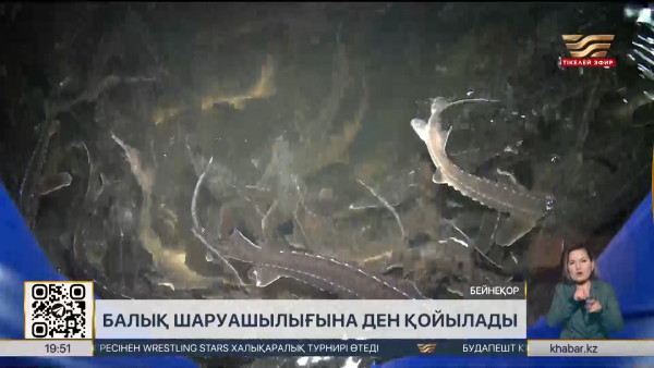 Балық шаруашылығына ден қойылады