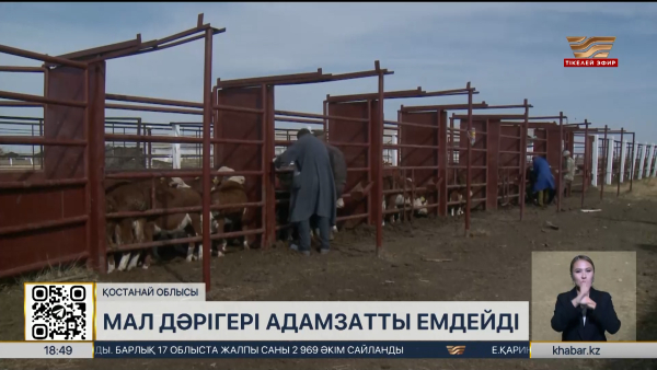 Қостанай облысында ветеринария саласы дамып келеді