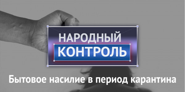 Бытовое насилие в период карантина. &laquo;Народный контроль&raquo;