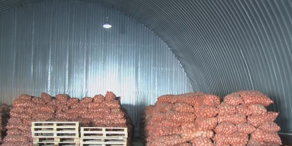 Azyk tulikpen kamtamasyz etu 